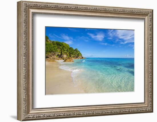 Palm Trees and Tropical Beach, La Digue, Seychelles-Jon Arnold-Framed Photographic Print