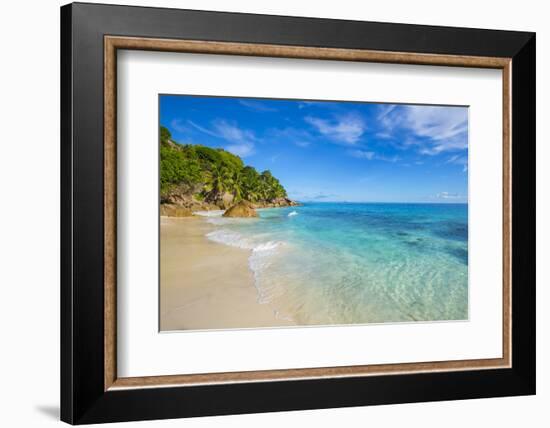 Palm Trees and Tropical Beach, La Digue, Seychelles-Jon Arnold-Framed Photographic Print