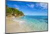 Palm Trees and Tropical Beach, La Digue, Seychelles-Jon Arnold-Mounted Photographic Print