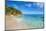 Palm Trees and Tropical Beach, La Digue, Seychelles-Jon Arnold-Mounted Photographic Print