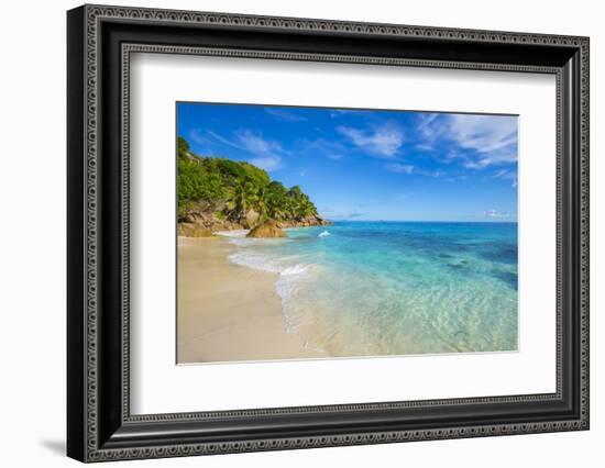 Palm Trees and Tropical Beach, La Digue, Seychelles-Jon Arnold-Framed Photographic Print