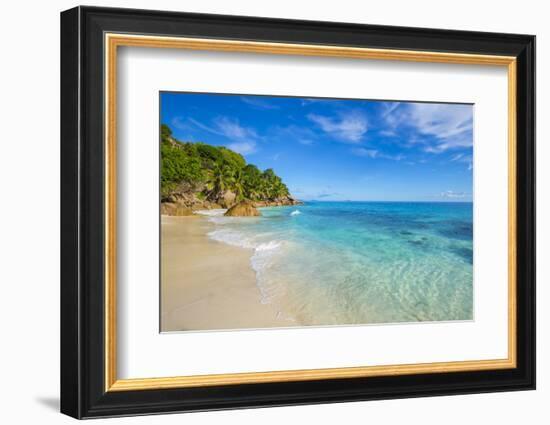 Palm Trees and Tropical Beach, La Digue, Seychelles-Jon Arnold-Framed Photographic Print