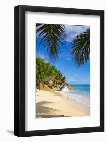Palm Trees and Tropical Beach, La Digue, Seychelles-Jon Arnold-Framed Photographic Print