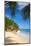 Palm Trees and Tropical Beach, La Digue, Seychelles-Jon Arnold-Mounted Photographic Print