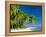 Palm Trees and Tropical Beach, Maldive Islands, Indian Ocean-Steve Vidler-Framed Premier Image Canvas