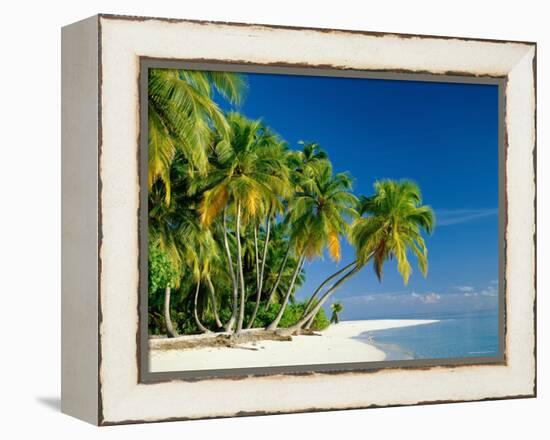 Palm Trees and Tropical Beach, Maldive Islands, Indian Ocean-Steve Vidler-Framed Premier Image Canvas