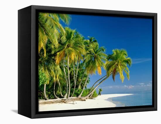 Palm Trees and Tropical Beach, Maldive Islands, Indian Ocean-Steve Vidler-Framed Premier Image Canvas