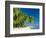 Palm Trees and Tropical Beach, Maldive Islands, Indian Ocean-Steve Vidler-Framed Photographic Print