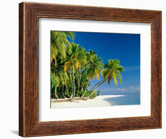 Palm Trees and Tropical Beach, Maldive Islands, Indian Ocean-Steve Vidler-Framed Photographic Print