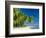 Palm Trees and Tropical Beach, Maldive Islands, Indian Ocean-Steve Vidler-Framed Photographic Print