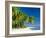 Palm Trees and Tropical Beach, Maldive Islands, Indian Ocean-Steve Vidler-Framed Photographic Print