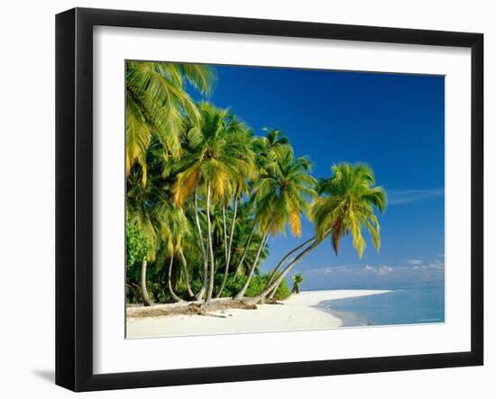 Palm Trees and Tropical Beach, Maldive Islands, Indian Ocean-Steve Vidler-Framed Photographic Print