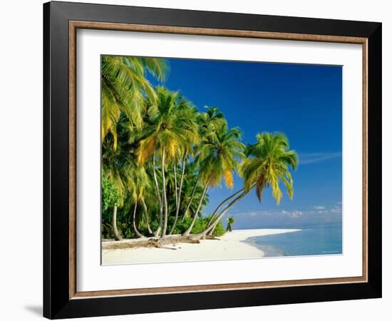 Palm Trees and Tropical Beach, Maldive Islands, Indian Ocean-Steve Vidler-Framed Photographic Print