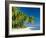 Palm Trees and Tropical Beach, Maldive Islands, Indian Ocean-Steve Vidler-Framed Photographic Print