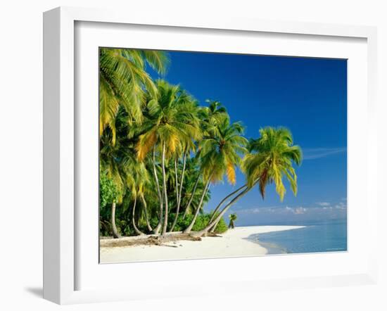 Palm Trees and Tropical Beach, Maldive Islands, Indian Ocean-Steve Vidler-Framed Photographic Print