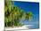 Palm Trees and Tropical Beach, Maldive Islands, Indian Ocean-Steve Vidler-Mounted Photographic Print