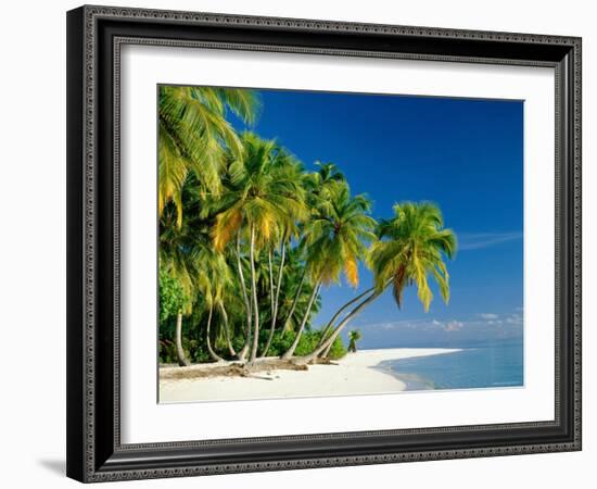 Palm Trees and Tropical Beach, Maldive Islands, Indian Ocean-Steve Vidler-Framed Photographic Print