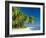 Palm Trees and Tropical Beach, Maldive Islands, Indian Ocean-Steve Vidler-Framed Photographic Print