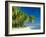 Palm Trees and Tropical Beach, Maldive Islands, Indian Ocean-Steve Vidler-Framed Photographic Print