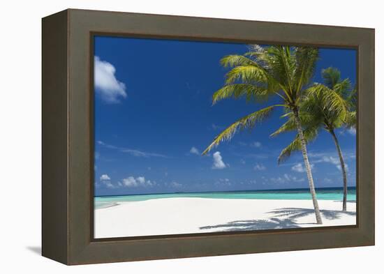 Palm Trees and Tropical Beach, Maldives, Indian Ocean, Asia-Sakis Papadopoulos-Framed Premier Image Canvas