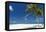 Palm Trees and Tropical Beach, Maldives, Indian Ocean, Asia-Sakis Papadopoulos-Framed Premier Image Canvas