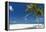 Palm Trees and Tropical Beach, Maldives, Indian Ocean, Asia-Sakis Papadopoulos-Framed Premier Image Canvas