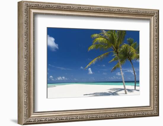 Palm Trees and Tropical Beach, Maldives, Indian Ocean, Asia-Sakis Papadopoulos-Framed Photographic Print