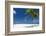 Palm Trees and Tropical Beach, Maldives, Indian Ocean, Asia-Sakis Papadopoulos-Framed Photographic Print