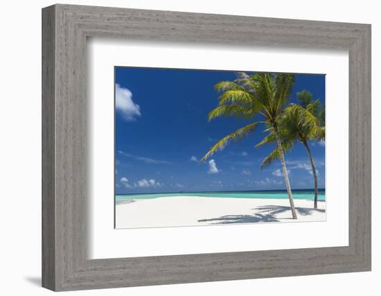 Palm Trees and Tropical Beach, Maldives, Indian Ocean, Asia-Sakis Papadopoulos-Framed Photographic Print