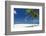 Palm Trees and Tropical Beach, Maldives, Indian Ocean, Asia-Sakis Papadopoulos-Framed Photographic Print