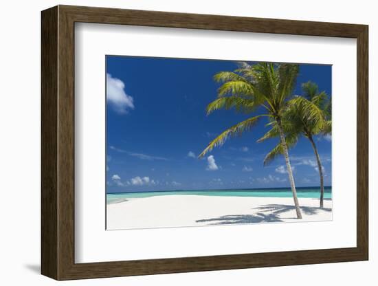 Palm Trees and Tropical Beach, Maldives, Indian Ocean, Asia-Sakis Papadopoulos-Framed Photographic Print