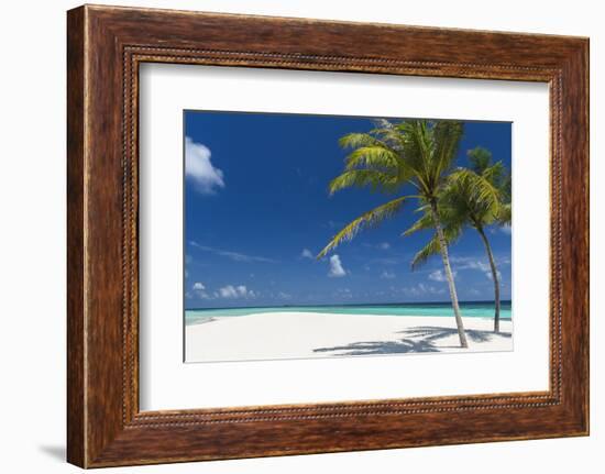 Palm Trees and Tropical Beach, Maldives, Indian Ocean, Asia-Sakis Papadopoulos-Framed Photographic Print