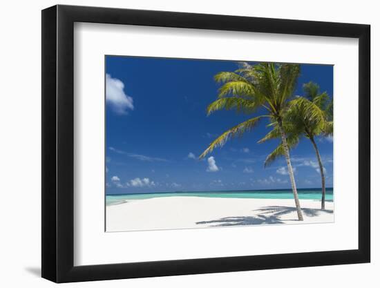 Palm Trees and Tropical Beach, Maldives, Indian Ocean, Asia-Sakis Papadopoulos-Framed Photographic Print