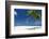 Palm Trees and Tropical Beach, Maldives, Indian Ocean, Asia-Sakis Papadopoulos-Framed Photographic Print