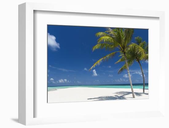 Palm Trees and Tropical Beach, Maldives, Indian Ocean, Asia-Sakis Papadopoulos-Framed Photographic Print