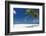 Palm Trees and Tropical Beach, Maldives, Indian Ocean, Asia-Sakis Papadopoulos-Framed Photographic Print