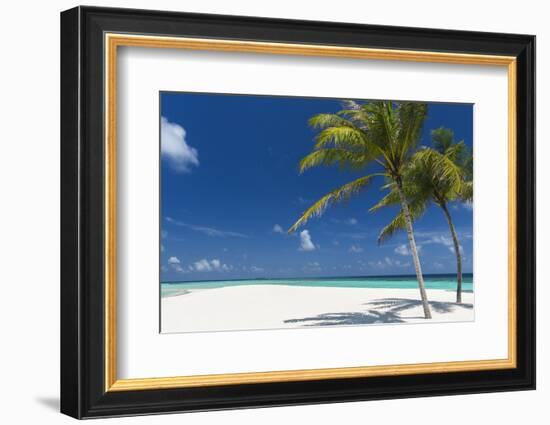 Palm Trees and Tropical Beach, Maldives, Indian Ocean, Asia-Sakis Papadopoulos-Framed Photographic Print