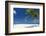 Palm Trees and Tropical Beach, Maldives, Indian Ocean, Asia-Sakis Papadopoulos-Framed Photographic Print