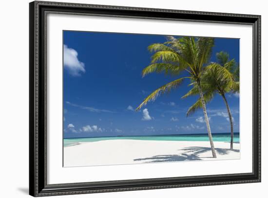 Palm Trees and Tropical Beach, Maldives, Indian Ocean, Asia-Sakis Papadopoulos-Framed Photographic Print