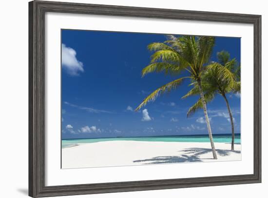 Palm Trees and Tropical Beach, Maldives, Indian Ocean, Asia-Sakis Papadopoulos-Framed Photographic Print