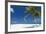 Palm Trees and Tropical Beach, Maldives, Indian Ocean, Asia-Sakis Papadopoulos-Framed Photographic Print