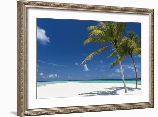 Palm Trees and Tropical Beach, Maldives, Indian Ocean, Asia-Sakis Papadopoulos-Framed Photographic Print