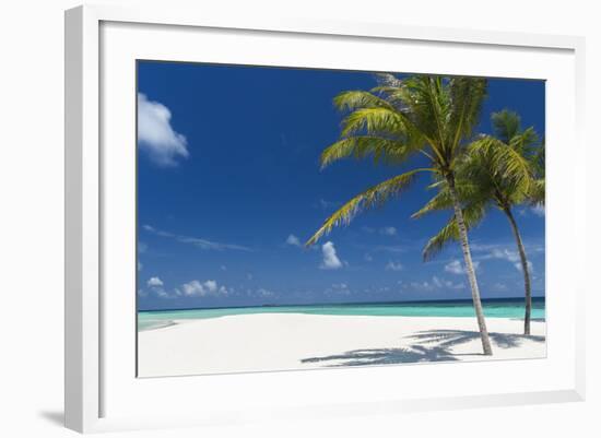 Palm Trees and Tropical Beach, Maldives, Indian Ocean, Asia-Sakis Papadopoulos-Framed Photographic Print