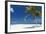 Palm Trees and Tropical Beach, Maldives, Indian Ocean, Asia-Sakis Papadopoulos-Framed Photographic Print