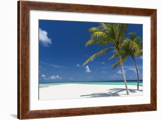 Palm Trees and Tropical Beach, Maldives, Indian Ocean, Asia-Sakis Papadopoulos-Framed Photographic Print