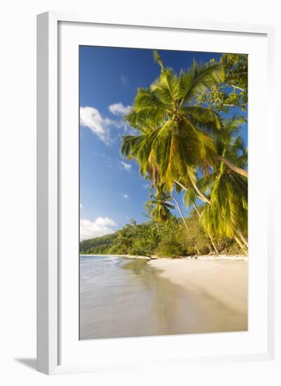 Palm Trees and Tropical Beach, Southern Mahe, Seychelles-Jon Arnold-Framed Photographic Print