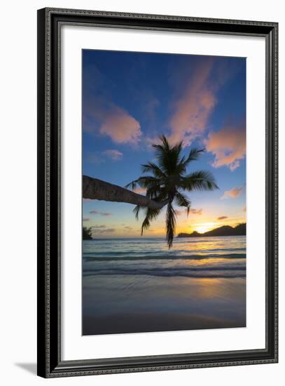 Palm Trees and Tropical Beach, Southern Mahe, Seychelles-Jon Arnold-Framed Photographic Print