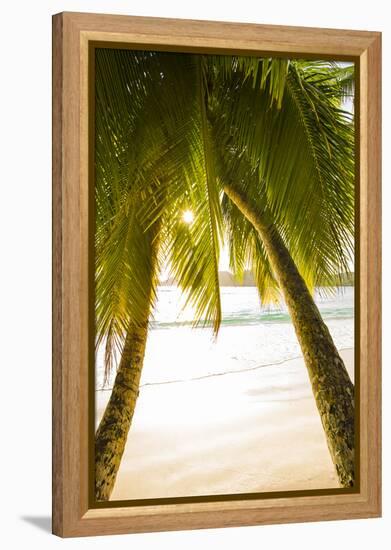 Palm Trees and Tropical Beach, Southern Mahe, Seychelles-Jon Arnold-Framed Premier Image Canvas