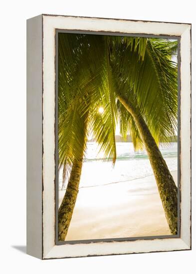 Palm Trees and Tropical Beach, Southern Mahe, Seychelles-Jon Arnold-Framed Premier Image Canvas