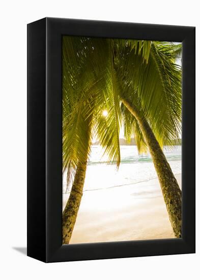 Palm Trees and Tropical Beach, Southern Mahe, Seychelles-Jon Arnold-Framed Premier Image Canvas